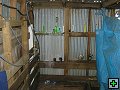 thn_NZ leden-unor 2006 031.jpg